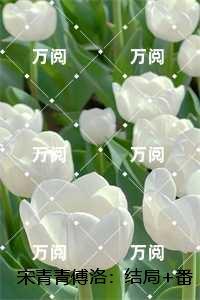 宋青青傅洛