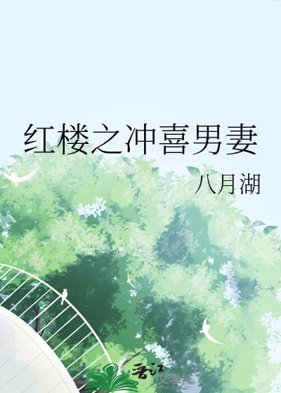 红楼之冲喜男妻